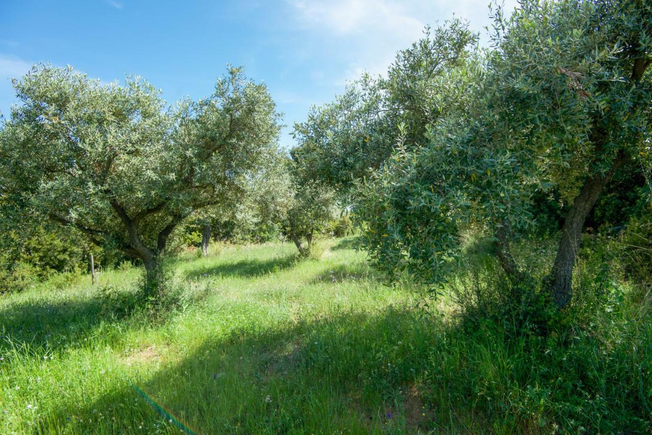 Avaton Farm Villa Ouranoupoli Esterno foto